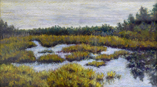 Tidal Marsh Acadia
